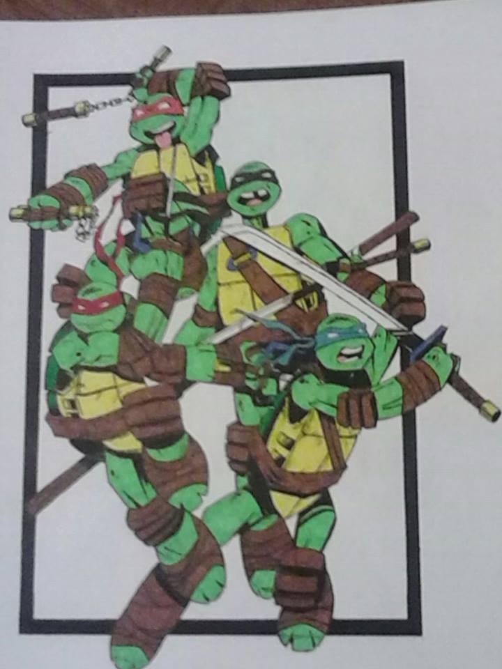 the turtles' sketch