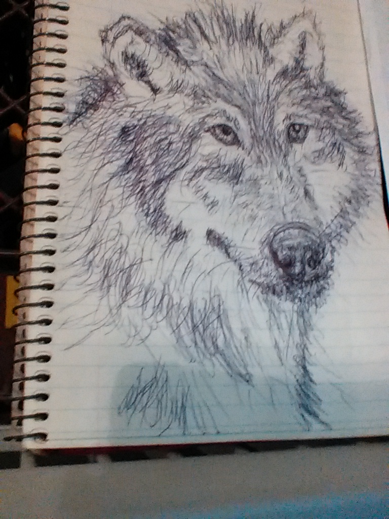 Inktober #6: Wolf