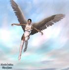 Angel Woman 2010