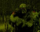 Welcome Back Swamp Thing!