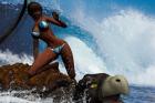TURTLE SURFING