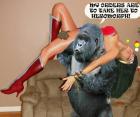 WonderWoman & Gorilla Grod - Together Again...