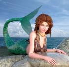 Mermaid Sunning on Rocks