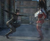 Catwoman vs Harley Quinn