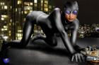 Catwoman By Winterhawk