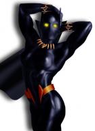 Female Black Panther by QuantumFX