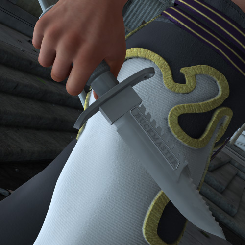 The Buckmaster